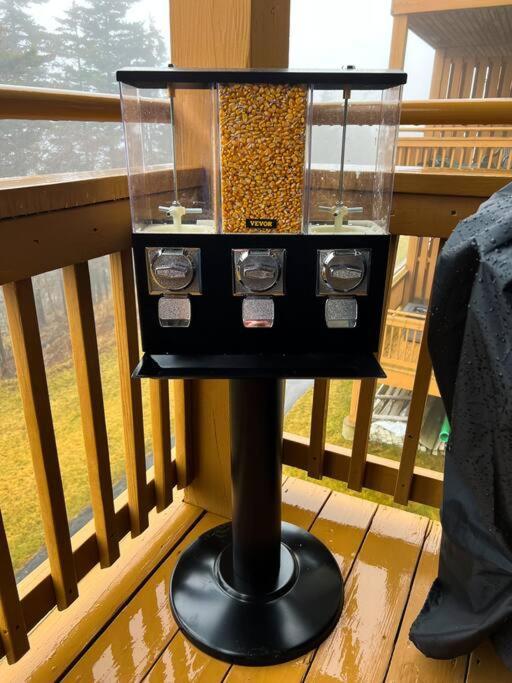 202D Summit - COMPLETELY Remodeled Modern Condo in Summit! Snowshoe Exterior foto